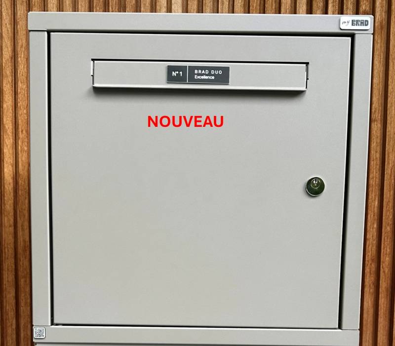 BRAD 2 Excellence clé Poste, 1 porte : La boîte aux lettres et colis idéale